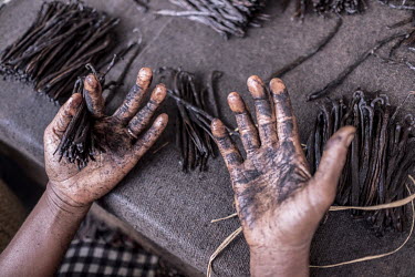 A workers' hands covered with residue from hours of making bundles of vanilla pods at a warehouse in Antalaha.