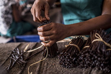 Workers make bundles of vanilla pods at a warehouse in Antalaha.