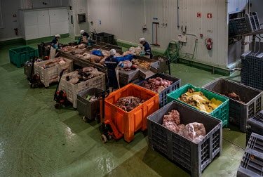 Workers at the Abapor-ETSA recycling plant facilty separate foodstuffs from packaging. The various waste food and packaging will be processed into dog and cattle food, organic fertilizer, cosmetics, o...