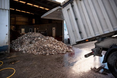 A truck delivers a load of dead poultry to the Abapor-ETSA recycling plant. The various waste food and packaging will be processed into dog and cattle food, organic fertilizer, cosmetics, organic cook...