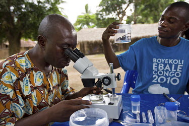 Biologist Jean-Louis looks at a sample through a microscope while carrying out research on spiders.