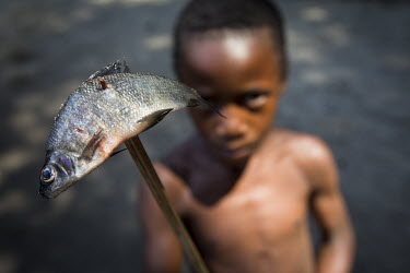 A boy holds up a small fish he caught. He lives in a temporary settlement where people come to fish during fishing-season.