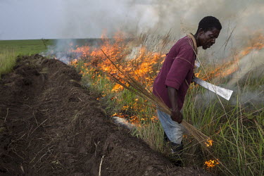 A man sets fire to grassland as he carries out typical slash and burn cultivation.