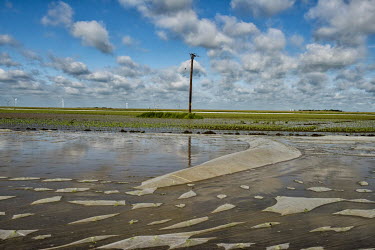 Waterlogged fields following heavy rains, which have likely damaged crops.   In the 2016 referendum on Britain's membership of the EU, the South Holland district produced the second highest pro-Brexit...