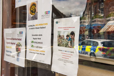 Advertisements in the window of one of the many so-called 'Euroshops', catering to and run by migrants, in the centre of Boston. The jobs are for flower factory workers and their are phone numbers ind...