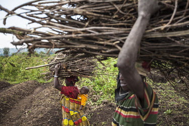 Women carrying wood in Virunga National Park. Deforestation often a result of the need for firewood for cooking is one of the biggest threats to the park.
