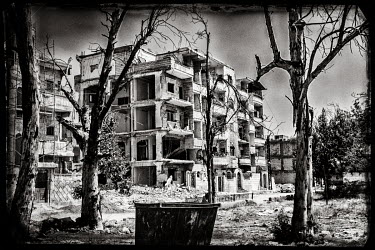 Leafless trees in a neighbourhood that was affected by heavy fighting and bombing as the city was retaken from ISIS.