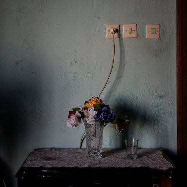 Flowers in the home of a Syrian refugee.
