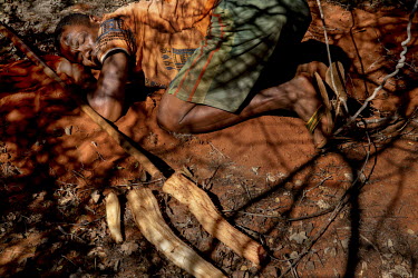 During the dry season, a man digs a hole in the ground to get to the water rich roots ('baboke') of a baobab tree.