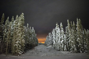 The line cuts through the boreal forest leading towards the glowing horizon produced by lights at a Shell oil sands extraction facility. Canada's Oil Sands are the largest and most environmentally des...
