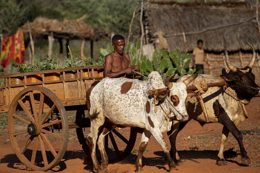 A man selling water, which he transports in a bullock cart, during the dry season when water is scarce.