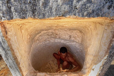 A man cuts a cistern into a Za Baobab (Adansonia za), which will be filled with water collected after the rains. The tree is one of the six species of baobab native to Madagascar.In this very dry regi...