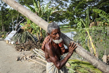 A man salvages a palm tree, one of many that have collapsed as the rising waters of the Meghna River have swept away the unstable land, and with it many homes and other buildings, along its banks.
