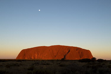 The moon rises over Uluru which is illuminated by the setting sun.  Tourists are rushing to climb world heritage-listed Monolith, Uluru in Australia's central desert before a ban on climbers takes e...