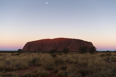 The moon rises over Uluru.  Tourists are rushing to climb world heritage-listed Monolith, Uluru in Australia's central desert before a ban on climbers takes effect. The date of the closure, 26 Octob...