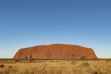 The moon rises over Uluru.  Tourists are rushing to climb world heritage-listed Monolith, Uluru in Australia's central desert before a ban on climbers takes effect. The date of the closure, 26 Octob...