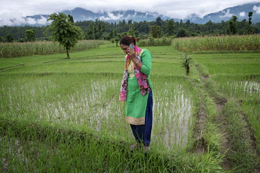 Farmer Sita Kumari stands on the raised sides of a rice paddy while she talks on her mobile phone. She uses mobile phone technology to help her enhance crop yields and get access to markets.