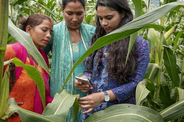 Pratima Baral (L), a data scientist, talks with farmers Sita Kumari (centre) and Nilam about mobile technologies that can help with crop yields, pest control, markets and labour etc.