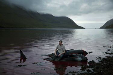Fridi sits on a slaughtered whale after a long night hunting the mammals. About a thousand peole where involved in the hunt in which 135 whales where caught.
