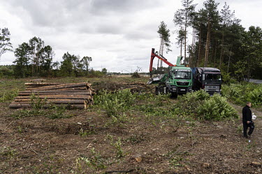 Forest land being cleared to make way for the construction of the 'Via Carpathia' expressway that will link the Baltic States, eastern Poland, Slovakia and Romania.