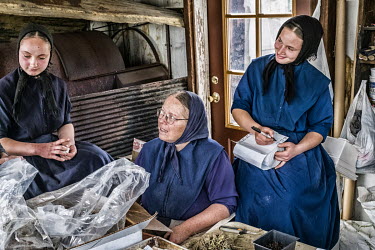 Amish women carry out administrative work at a plant nursery.