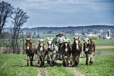An Amish farmer drives his team of harnessed horses and mules and pulling a manure tank used to spread fertiliser over his field.