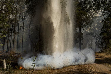 Water is dumped by a helicopter on a small fire. Weather conditions in New South Wales (NSW) have made circumstances ideal to spread catastrophic fires.