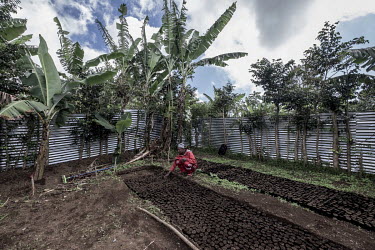 A reforestation project in Adda. Since independence in 1975 the Comoros has seen one of the highest rates of deforestation in the world, leaving it's river systems depleted and it's topsoil eroded, in...