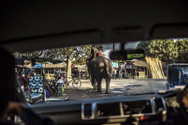 An elephant is ridden through a village.