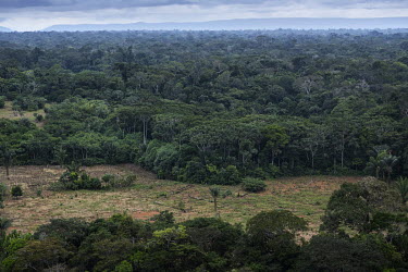 Deforestation, due to logging but mainly to clear land for pasture for cattle, scars the rainforests of the Serrania de Chiribiquete National Park.