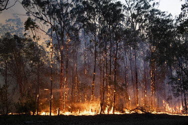 An out of control fire rages as weather conditions in New South Wales (NSW) have made circumstances ideal to spread catastrophic fires.