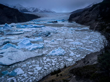 Ice Flows in a glacial lake at the Gray Glacier in southern Chile which has retreated 2 kilometres over the past 30 years. In Chile, 95% of glaciers are melting and shrinking.