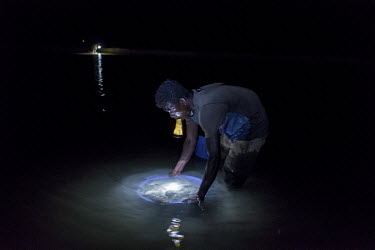 A man illuminates a bowl of sea-cucumbers during a harvest off the coast of Tampolove. The sea cucumbers hide in the silt during daylight so they can only be caught at night.