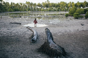 A girl walks near dead coconut trees in an area of land whose soils have become increasingly eroded and salinated by the regular flooding that occurs during high tides. Abaiang is one of Kiribati's at...