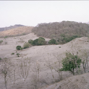 Desertification of the land.
