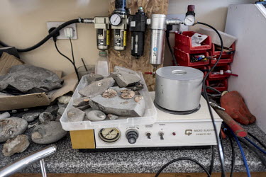 Equipment for cleaning and preparing fossils on a kitchen counter in the home of longtime collector James Carroll.