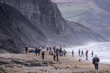 A mix of professional and amateur fossil hunters on Charmouth Beach, one of the most popular fossil collecting sites on England's Jurrassic Coast.