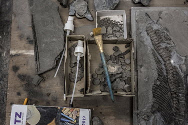 Fossil preparing apparatus and a box full of icthyosaur vertebrae lie on a table in the workshop of veteran fossil collector Chris Moore in Charmouth.