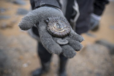 A fossil hunter displays two pyrite ammonites discovered on Charmouth Beach.