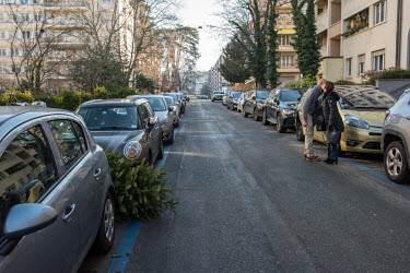 A Christmas tree between two cards on the street in Geneva waiting for collection by the authorities.
