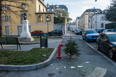 A Christmas tree on the street in Geneva waiting for collection by the authorities.
