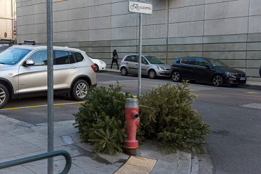 Discarded Christmas trees on the street in Geneva.