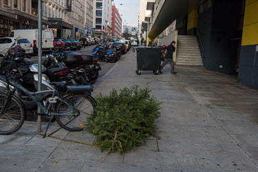 A Christmas tree discarded on the street in Geneva.