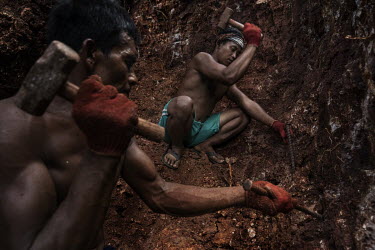 Miners dig ore along on overground, exposed vein in a small-scale artisanal gold mine on the Indotan concession. A nearby shaft the miners had been working on collapsed trapping hundreds of sacks of o...