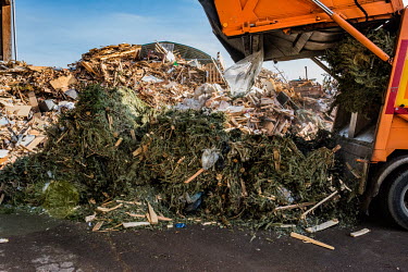 A dedicated rubbish truck dumps discarded Christmas trees collected from the streets of Geneva. The trees are transferred to a site for burning with other combustible rubbish. Throughout January sever...