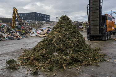 The remains of Christmas trees collected by the local authorities, and sent for shredding and burning at a local recycling centre. The trees are not however recycled, because of remnants of plastic de...