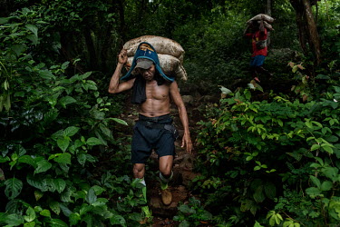Porters carry sacks of gold ore, weighting about 30kg each, extracted from a small-scale artisanal gold mine on the Indotan concession, down a mountain.