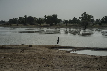 A man walks beside one of the channels of the Komadougou Yobe River, just outside of Diffa, the river represents the natural border between Niger and Nigeria.