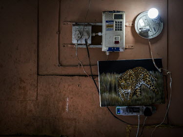 A painting of a leopard next to electricity sockets and a light in a house in Dunoon.