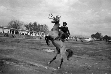 A man riding a rearing horse after a game of Buzkashi (lit. 'goat grabbing'), an equestrian sport related to polo in which the teams fight for control of an animal (goat, sheep or calf) carcass.